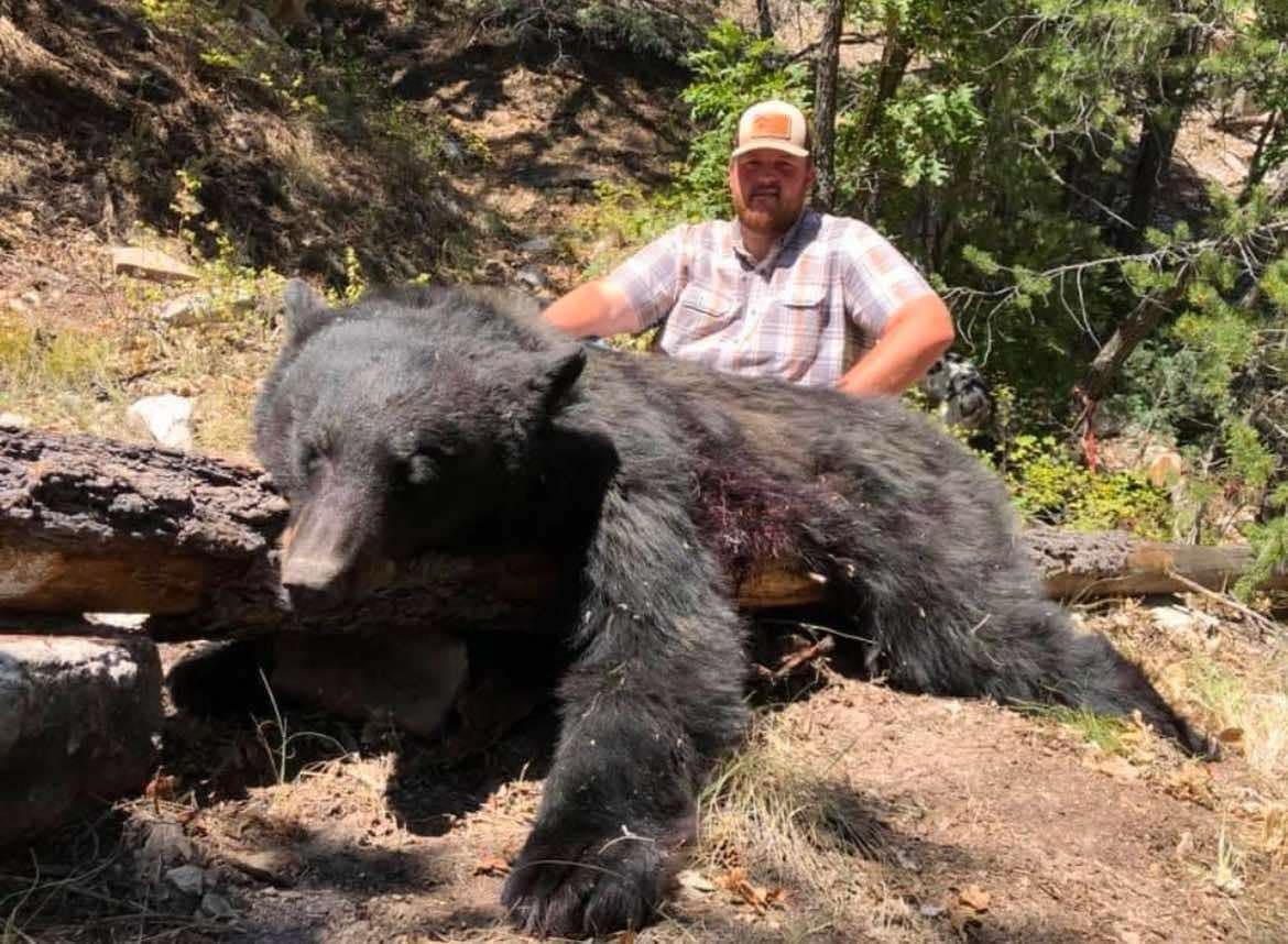 bear-hunting-outfitter